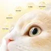 Daoliqi Gotas para Ojos de Mascota Limpieza y Cuidado Removedor de Manchas Oculares Transparente Suave Fabricante Venta al por Mayor 60ml