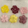 Estilo Ins Pintura en Aerosol Cosido a Mano Flores de Doble Capa Ropa DIY Zapatos con Agujeros Broche Zapatos de Cristal Tocado Accesorios Estilo K Venta al por Mayor