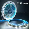 Tira de LED Flexible de Alto Brillo 2835 24V Ancho 8mm 120 LEDs Iluminación Decorativa para el Hogar para Gabinetes Sin Luz Principal