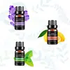 Humidificador Máquina de Aromaterapia Set Especial de Aceites Esenciales Máquina de Aromaterapia Aceite Esencial de Aromaterapia Aceite de Lavanda Aceite de Flor de Cerezo Aceite de Té Verde 10ml