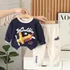 Conjunto Elegante de Dos Piezas con Avión Tridimensional Estilo Urbano para Bebés y Niños Pequeños, Novedad de Otoño de Manga Larga para Niños