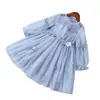 Vestido de Malla Infantil de Primavera Falda de Princesa Falda de Manga Larga para Niñas Falda Tutú Súper Hada Dama Comercio Exterior