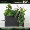 Decoración de maceta flores y plantas artificiales arreglo floral producto terminado adornos de plantas verdes departamento de ventas de restaurante mampara canaleta para flores paisaje biónico