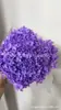 [Niebla Natural Hortensia] Flor Eterna Flor Seca Hortensia Anna Hortensia Lobular Material para Boda DIY Venta al por Mayor