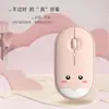 Venda de Fábrica Mouse Sem Fio Fofo 2.4g Carregamento Bluetooth Laptop Escritório Computador Transfronteiriço Amazon Comércio Exterior