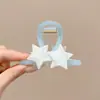 Pinza Grande para el Cabello con Alto Volumen, Aspecto de Alta Gama, Pinza para el Cabello con Moño Mediano, Pinza Grande Acrílica Sencilla, Accesorio para el Cabello para Mujer