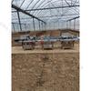 Invernadero de hortalizas plantación de plántulas sembradora línea de montaje automática sembradora de plántulas sembradora de semillas de flores