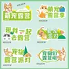 Decoraciones de Moda para Exteriores con Temática de Primavera para Team Building, Montaje de Ambiente, Salidas de Primavera, Campamentos de Verano, Tablero Kt y Fondo de Centro Comercial