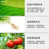 Fertilizante líquido de morango vegetal líquido nutriente universal fertilizante hidropônico para plantas suculentas cultivo sem solo fertilizante de flores atacado