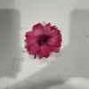 Atacado de adereços de cabeça para dança infantil, acessórios de cabelo, corsages, flores de pulso para damas de honra e irmãs, flores de pulso para a noiva, artigos para casamento