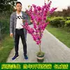 Plántulas de Bauhinia Llenas de Plántulas de Flor de Bauhinia Roja Plantas Verdes en Maceta Plántulas de Bauhinia Plantas de Jardín para Patio Ornamentales Florales Coloridas