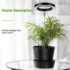 Luz de Crecimiento para Plantas Anillo de Ángel USB Temporizada Regulable Luz Suplementaria para Plantas Verdes y Plantas en Maceta Luz Suplementaria para Plantas Verdes de Interior