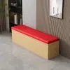 Banqueta de sofá con armario de almacenamiento, mueble largo tapizado para sentarse, caja de almacenamiento para sentarse, taburete para cambiarse los zapatos, zapatero, silla de madera maciza