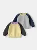 Sudadera Exterior para Niños con Bloques de Color, Top Sencillo, Versátil para Primavera, Nuevo Estilo en Ropa Infantil, Chaqueta para Niños Pequeños, Venta al por Mayor de Primavera