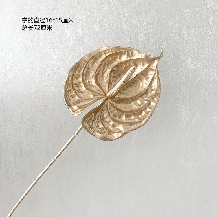 QQ图片20220505100548