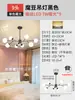 Lustre de sala de estar nórdico de luxo leve, lâmpada criativa moderna minimalista de feijão mágico para quarto principal e sala de jantar, iluminação Zhongshan novo modelo 2026