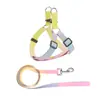 Conjunto de coleira e arreio de nylon bicolor para animais de estimação, direto da fábrica, com fivela de LED para passear com o cachorro
