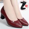 Sapatos de Mãe, Sapatos de Salto Baixo, Sola Macia, Femininos Primavera e Outono Confortáveis Bico Redondo 2025 Verão Sapatos Femininos, Salto Médio, Para Meia-Idade e Idosos Casuais de Couro