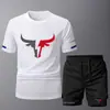 Nuevo Conjunto de Dos Piezas para Hombre, Moderno, Cuello Redondo, Manga Corta, Verano, Casual, Deportivo, Shorts de Fitness, Transpirable, Secado Rápido, Listo para la Venta