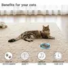 Amazon Tapete de Silicona para Comida de Mascotas Antideslizante Antiahogo Alimentador Lento para Gatos y Perros Plato Lento para Comer Plato de Alimentación Lenta