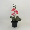 Comércio Exterior Internacional Pote de Areia Negra Orquídea Phalaenopsis Artificial Planta em Vaso Prop para Fotografia de Casamento Interna com 3 Flores Artificiais e Planta Verde Bonsai