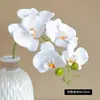 5 Cabezales sensación hidratante orquídea mariposa simulación Orquídea Boda película flor artificial fotografía decoración flor eterna venta al por mayor