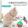 Brinquedos para Gatos no Atacado: Gaiolas para Hamsters, Brinquedos Coloridos de Pena, Gaiolas de Arame Pintado, Gaiolas para Gatos, Hamsters para Gatos, Brinquedos para Gatos Auto-entretenedores, Brinquedos de Roda para Gatos