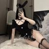 Lingerie Sexy, Menina Coelho Fofa, Abertura na Virilha, Não Precisa Tirar, Uniforme de Tentação, Traje de Paixão, Desejo Puro, Pijama Transparente, Sexy