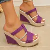 Sandálias de Plataforma com Salto Anabela Transfronteiriças para Mulheres, Novo Estilo de Verão, Sandálias Europeias e Americanas com Salto Anabela e Bico Afilado, Sapatos Casuais Impermeáveis de Plataforma