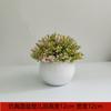 Amazon Simulación Explosiva Planta En Maceta de Plástico Estilo Simple Decoración de Escritorio para el Hogar Planta Verde Mini Planta de Simulación Bonsái