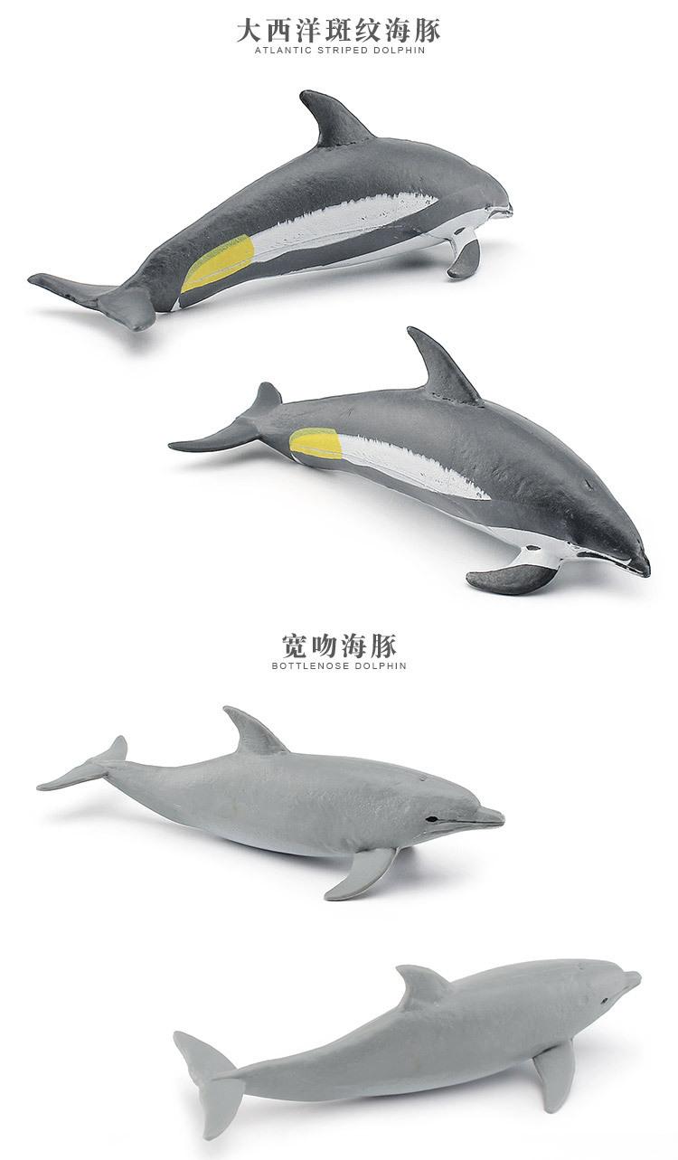 详情图片_084.jpg