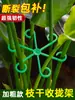 Suporte de Suporte Anti-tombamento para Plantas Haste de Suporte para Monstera Samambaia Aspargo Fixador para Plantas Verdes Flor Hidroponia Suporte de Fixação Dobrável