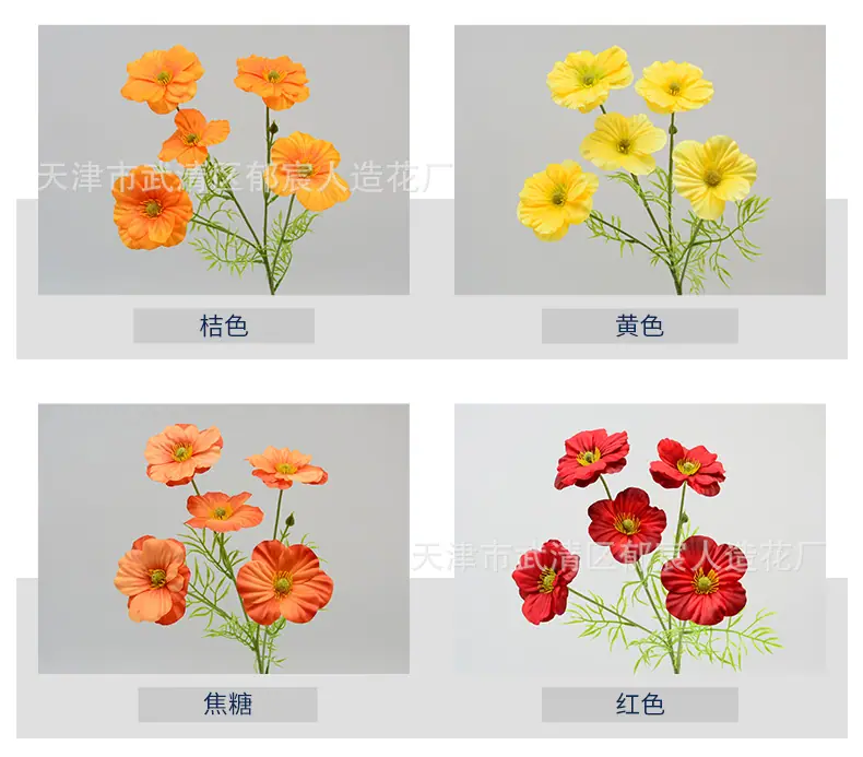 详情_03.jpg