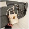 Bolso Vertical Texeled para Teléfono Móvil para Mujer 2025 Primavera Nuevo Bolso Bandolera de Moda para Mujer Diseño Nicho Bolso de Mano Trendy