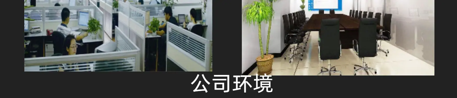 老化试验箱