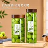 Botellas de vidrio listas para usar para hacer licores infusionados, frascos sellados para elaboración casera de cerveza, barriles de fermentación para vino de frutas, botellas para vino de lichi, ciruela verde y bayberry