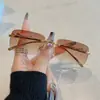 Nuevo Modelo de Comercio Exterior Transfronterizo Gacela Gafas de Sol Cuadradas Sin Marco Decorativas Gafas de Sol Metálicas Retro Coloridas con Cabeza de Leopardo para Hombres y Mujeres