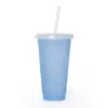 Nuevo Vaso de Plástico PP Sensible a la Temperatura Transfronterizo Cambia de Color Gran Capacidad 710ml Verano Transparente con Popote Vaso de Agua Reciclaje