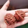 Nuez para Manualidades, Talla de Nueces en Puesto Callejero con Patrones de Unicornios Pareados, Nuez de Práctica