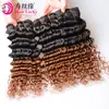 Fuente de Suministro de Extensiones de Cabello Falso Transfronterizas Temsyin Extensiones de Cabello Humano Onda Profunda T1B/30