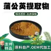 Extrato de Dente-de-Leão em Pó 10:1 Extrato de Planta em Pó Fino Grau Alimentício Suplemento de Saúde Matéria-Prima em Pó em Estoque com Frete Grátis