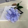 2 Dalias individuales para decoración de auditorio de bodas, flores para sesión de fotos, hogar, sala de estar, ropa suave, simulación de flores falsas, accesorios para estudio fotográfico, flores