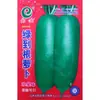 Semillas de Rábano Verde de Raíz a Raíz, Siembra en Huerto Agrícola, Híbrido de Maceta para Balcón, Resistente al Salvado, de Pulpa Verde, Semillas de Rábano Jugosas