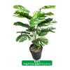 Simulação de Planta de Folha de Tartaruga Real Decoração de Folha Verde Decoração de Casa Simulação de Tartaruga Bambu Vaso de Flores Vaso de Plantas Paisagem
