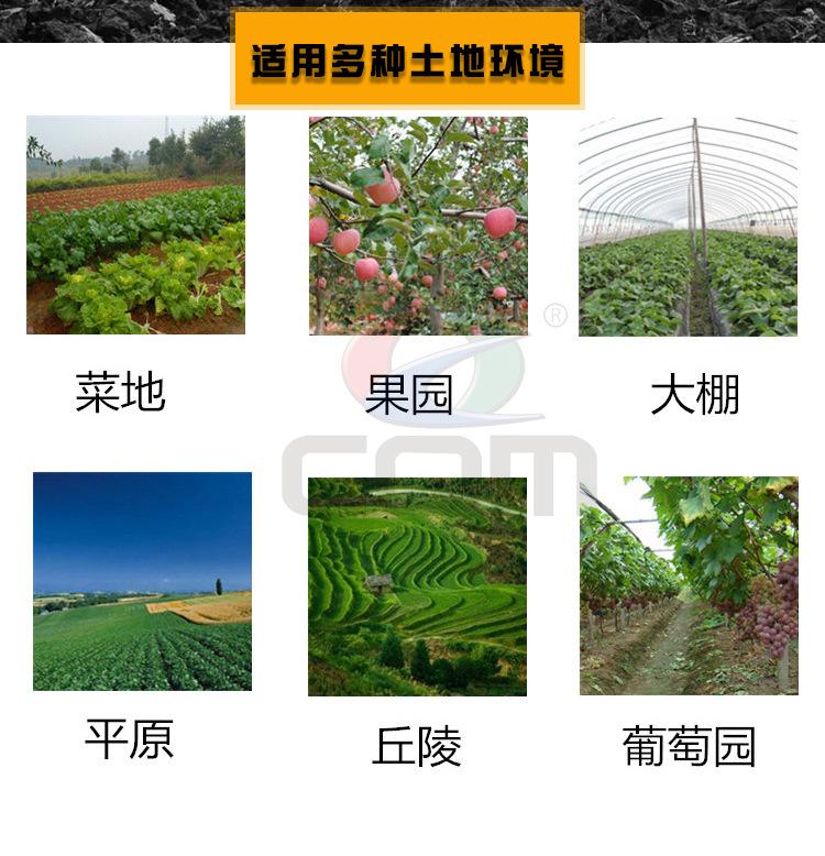 WGj_08.jpg