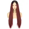 Peluca de Encaje Pequeña Europea y Americana para Mujer, Mechas de Color Mixto, Cabello Largo Liso, Peluca de Fibra Química de Cabeza Completa, Estilo Exótico al por Mayor desde Xuchang