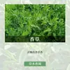 Paquete de Materiales para Velas DIY de Aceite Esencial de Aromaterapia Lámina de Cera Hecha a Mano Difusor de Yeso Fragancia Ligera Fragancia para Hombres y Mujeres