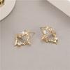 Aretes Aretes de Verano para Mujer Aretes de Súper Hada de Alta Gama Aretes de Zirconia de Alta Gama Aretes de Plata 925 Alta Calidad Venta al por Mayor