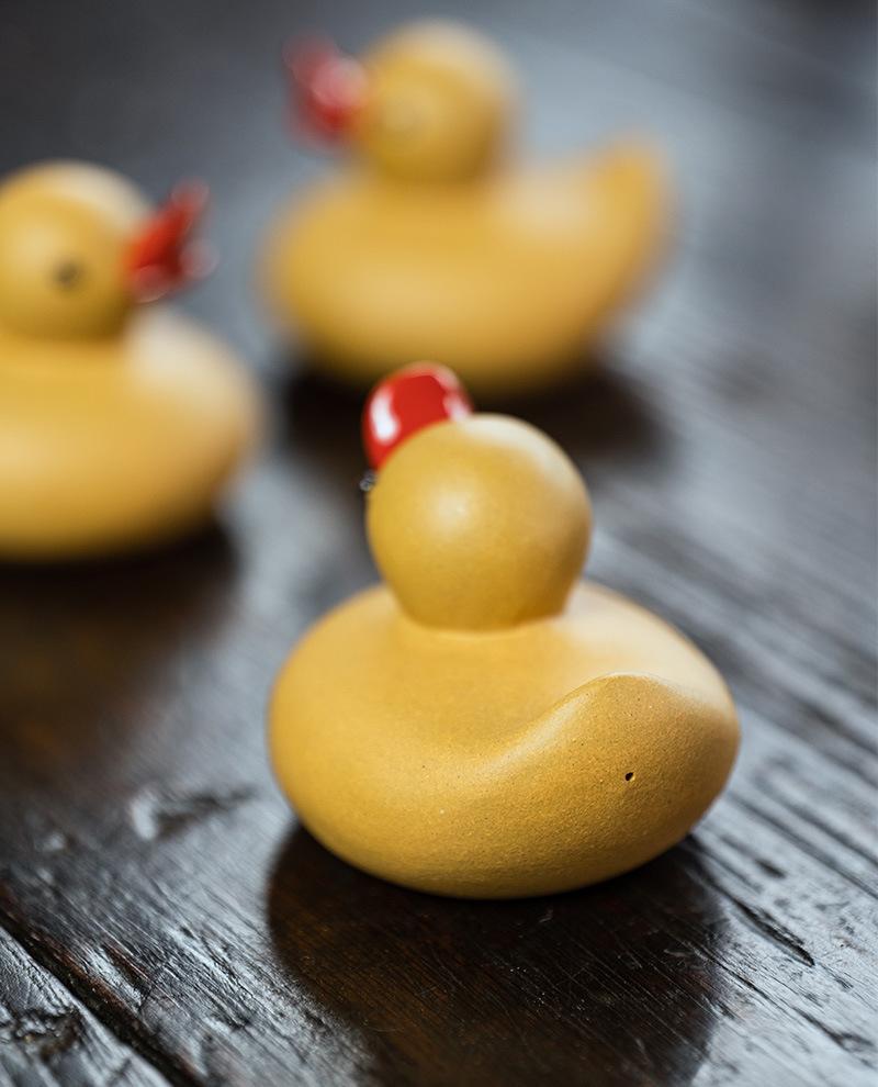 小黄鸭20210806 (11).jpg
