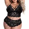Conjunto de Encaje de Dos Piezas para Mujer Tallas Grandes Transfronterizo, Conjunto Sexy de Sujetador y Bragas sin Tirantes con Bloques de Color, Ropa de Casa al por Mayor 5